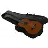 Proel BAG-100P Bag