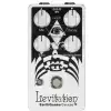 EarthQuaker Devices Levitation V2 - Psychedelic Reverb E-Gitarren-Effekt