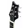 Richwood RE131 VS E-Gitarre