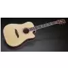 Framus FD 28 JN SR VSNT -  Jorg Nassler Signature Vintage Transparent Satin Natural Tinted + EQ