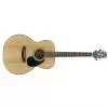 Takamine G220S Westerngitarre