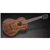 Framus FP 14 M - Natural Transparent Satin