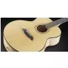 Framus FJ 14 SMV - Vintage Transparent High Polish Natural Tinted Westerngitarre