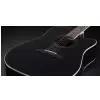 Framus FD 14 S BK CE - Solid Black High Polish + EQ