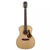 FRAM-FG-14-SV-VSNT