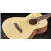 Framus FP 14 SV - Vintage Transparent Satin Natural Tinted + EQ