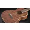 Framus FP 14 M - Natural Transparent Satin