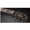 Framus FC 44 SMV - Vintage Transparent Satin Natural Tinted Westerngitarre