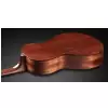 Framus FP 14 SV - Vintage Transparent High Polish Natural Tinted