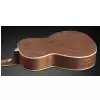 Framus FP 14 M - Natural Transparent Satin