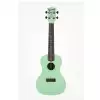 Kala KA-CWB-GN Waterman Konzert-Ukulele + GigBag