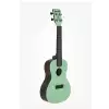 Kala KA-CWB-GN Waterman Konzert-Ukulele + GigBag