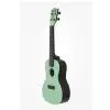 Kala KA-CWB-GN Waterman Konzert-Ukulele + GigBag
