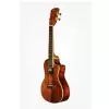 KALA KOA Series Concert, with Cutaway and EQ KALA KOA Series Concert, with Cutaway and EQ