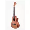 Kala Solid CedarTopRosewood Tenor