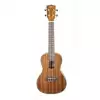 Kala Mahogany Concert Ukulele