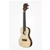 KALA Solid Spruce Travel Konzert-Ukulele + GigBag