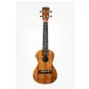 Kala Mahogany Concert Ukulele with EQ