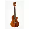 KALA KOA Series Concert, with Cutaway and EQ KALA KOA Series Concert, with Cutaway and EQ