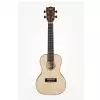 KALA Solid Spruce Travel Konzert-Ukulele + GigBag