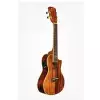 KALA KOA Series Concert, with Cutaway and EQ KALA KOA Series Concert, with Cutaway and EQ