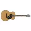 Takamine EG220NS Westerngitarre