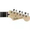 Fender Standard Stratocaster RW Brown Sunburst E-Gitarre