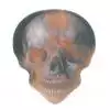 HotPicks LP24 Flame Skull Plektrum