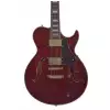 Samick RL4 TR E-Gitarre