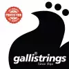 Galli Ls-10