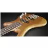 Warwick RB Corvette Basic 4 HV TS Bassgitarre