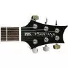 PRS Santana SE CS E-Gitarre