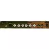 Stagg CA25AR Gitarrenverstrker