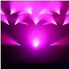 Cameo CLAS100 AURO SPOT 100 Moving Head 60W LED 