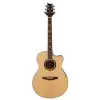 Prs Se Angelus Standard