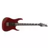 Ibanez GRG 170DX CA E-Gitarre