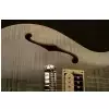 PRS 2017 SE Zach Myers Trampas Green