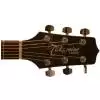 Takamine G220NS Westerngitarre