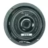 Eminence Alpha 6 C