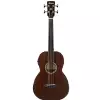 Ibanez AVNB1FE-BV