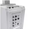 LD Systems MAUI 11 G2 W