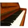 AN T.Piano Up 113 Piano