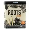 Toontrack Sdx Roots Sticks