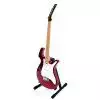 Parker P-30 CH E-Gitarre