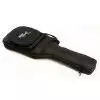 Parker P-30 CH E-Gitarre