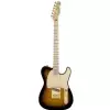 Fender Richie Kotzen Telecaster Maple Fingerboard Brown Sunburst E-Gitarre