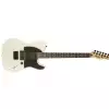 Fender Jim Root Telecaster Laurel Fingerboard, Flat White