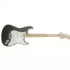 Fender Eric Clapton Stratocaster MN Pewter E-Gitarre