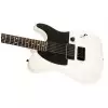 Fender Jim Root Telecaster Laurel Fingerboard, Flat White