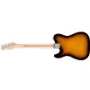 Fender American Pro Telecaster Maple Fingerboard, 2-Color Sunburst